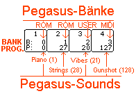 Pegasus-Bank-PRG-Versand